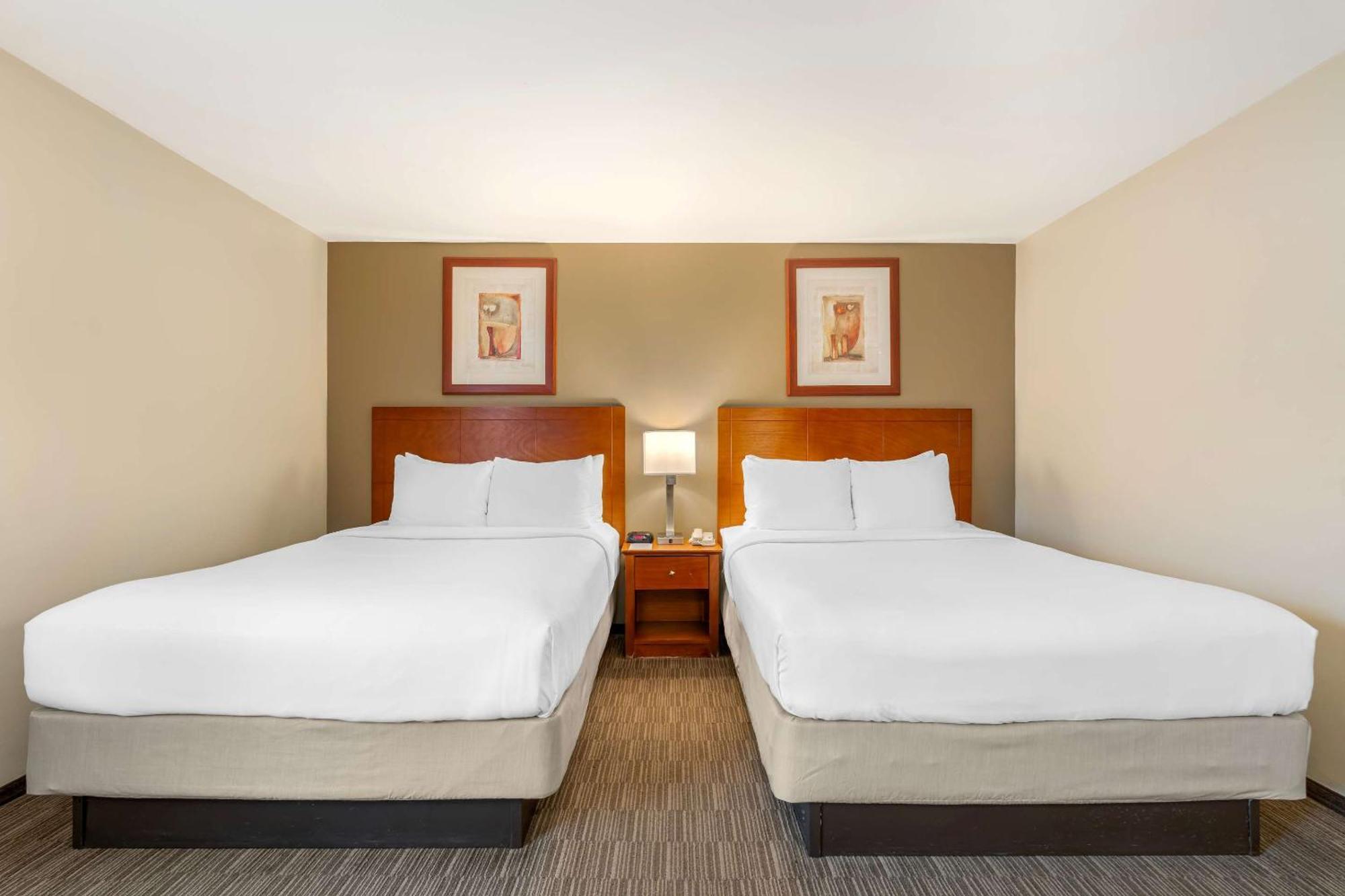 Comfort Inn Cockatoo Near Lax Airport Hawthorne Exterior photo